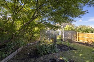 Photo 11- click for photo gallery